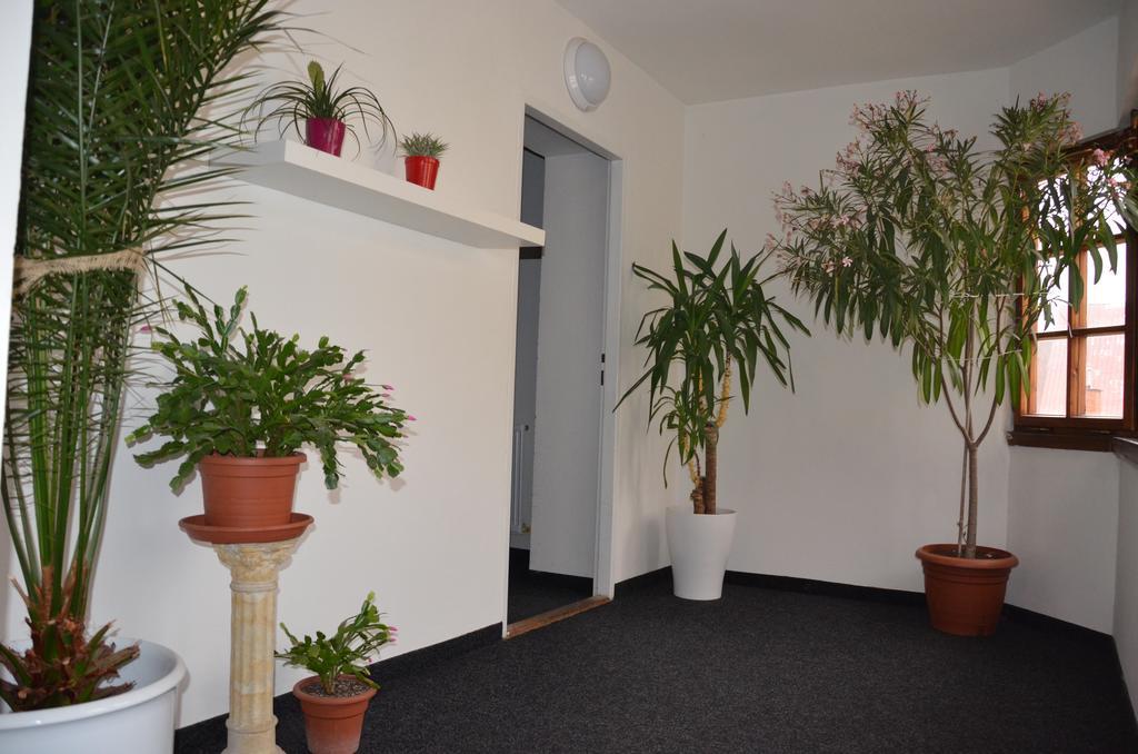 Guesthouse Zlatý Hrozen Česká Lípa Exteriér fotografie